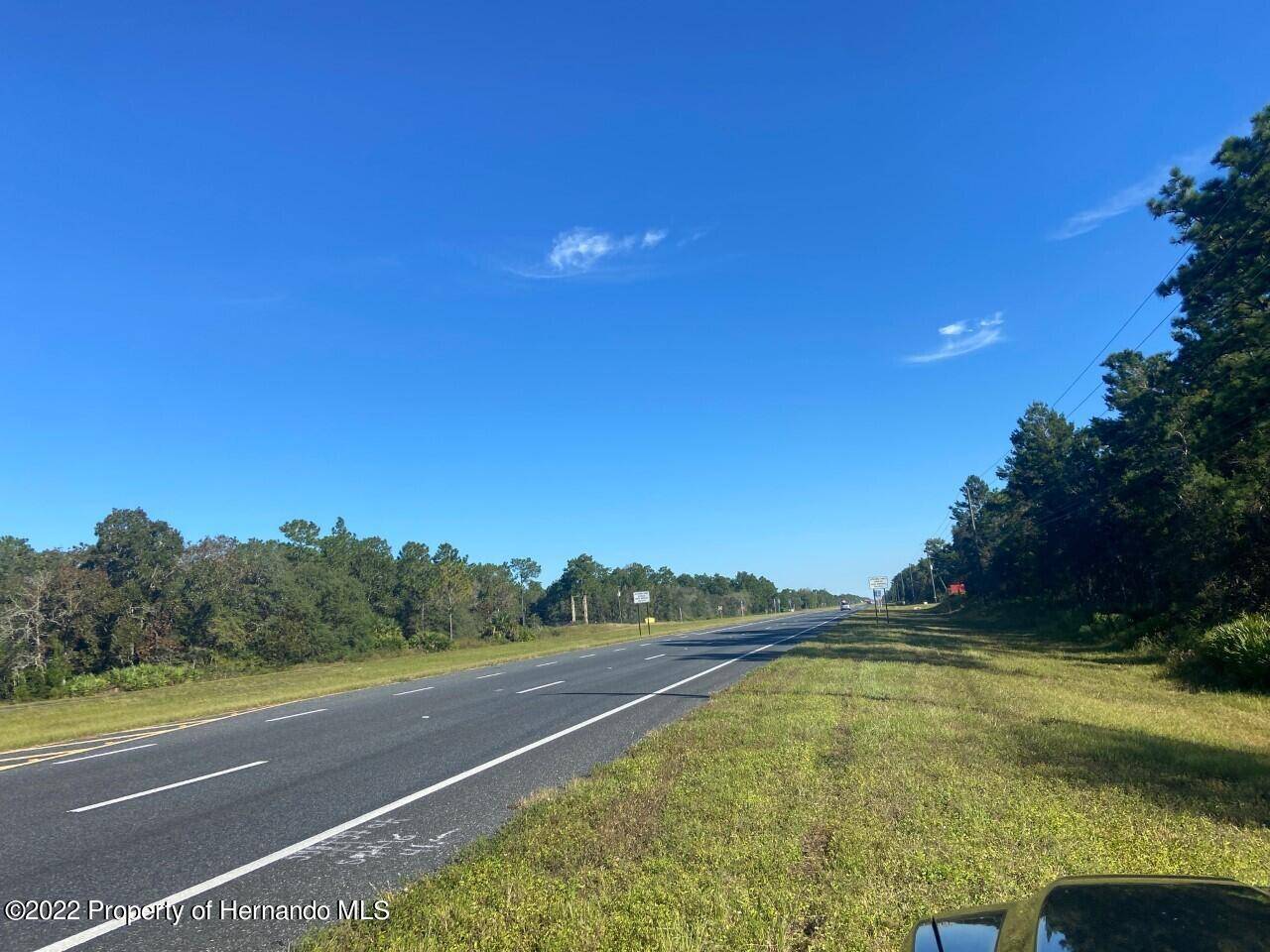 Weeki Wachee, FL 34614,18061 Necklace Warbler