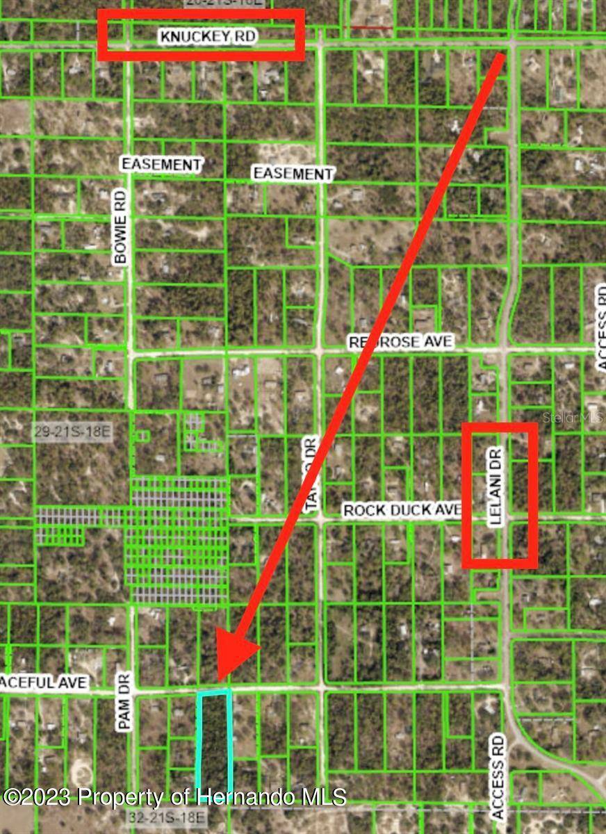 Brooksville, FL 34614,12124 PEACEFUL Avenue
