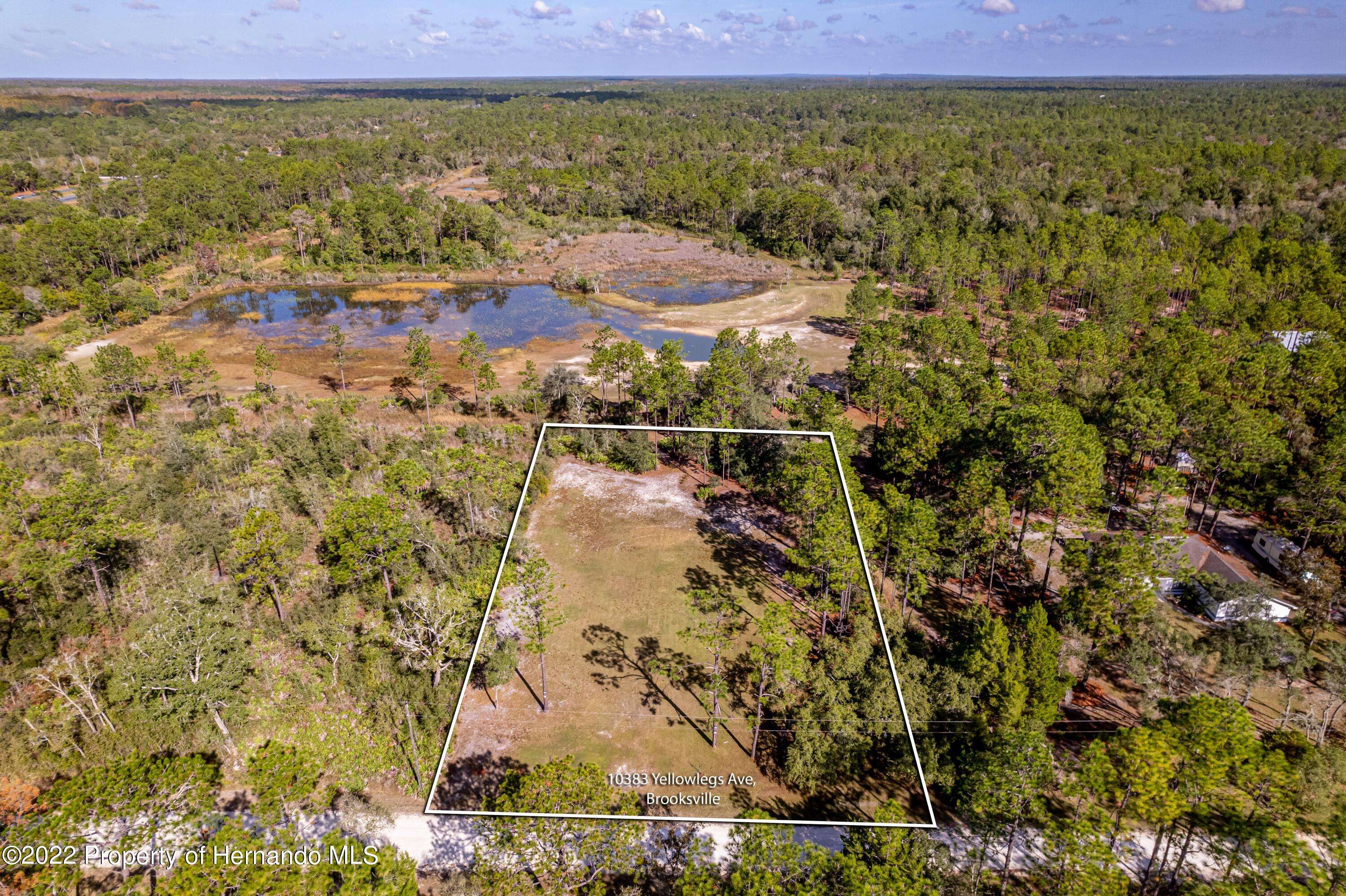 Weeki Wachee, FL 34614,Yellowlegs Avenue