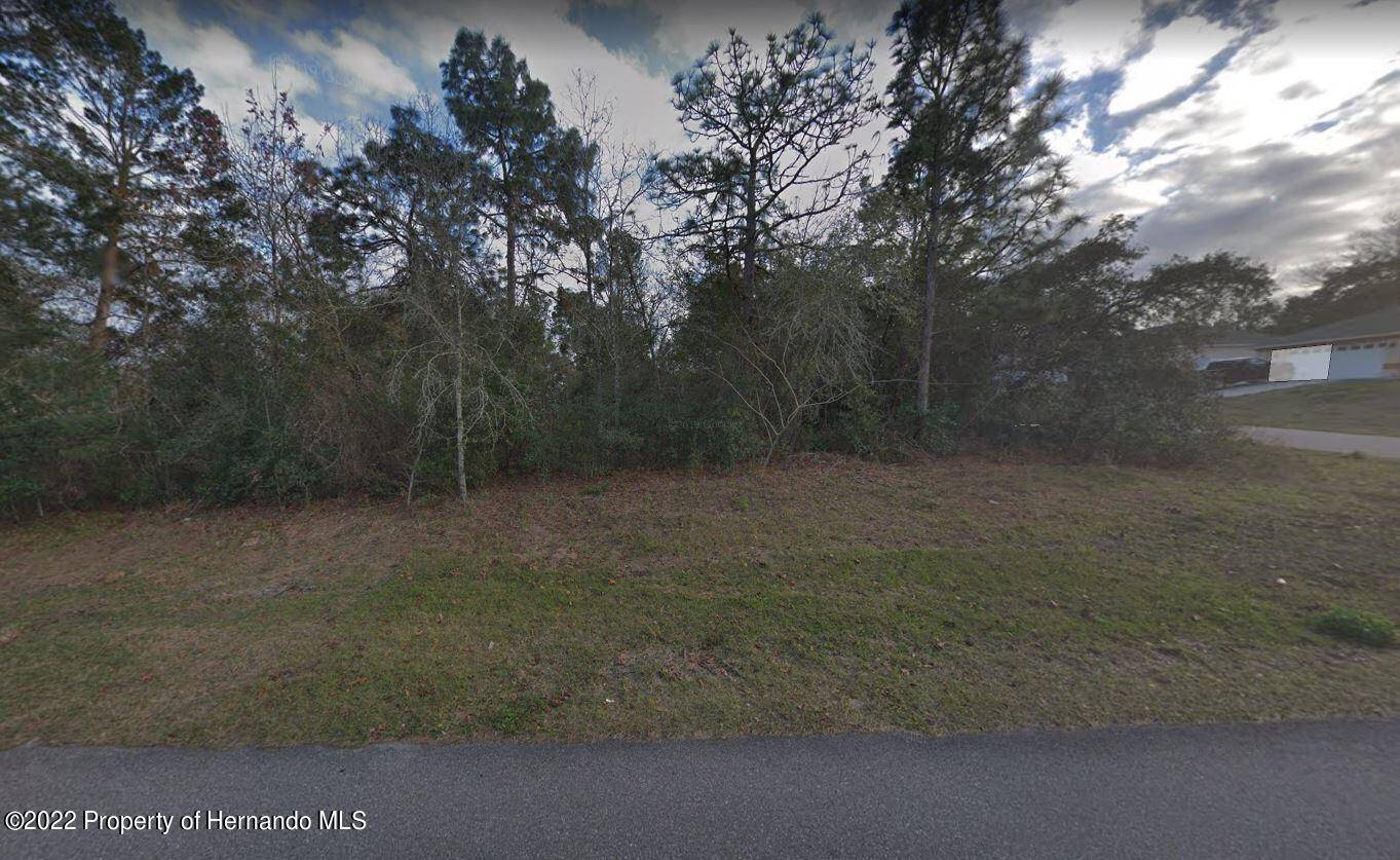 Spring Hill, FL 34608,Barlington St Lot 1