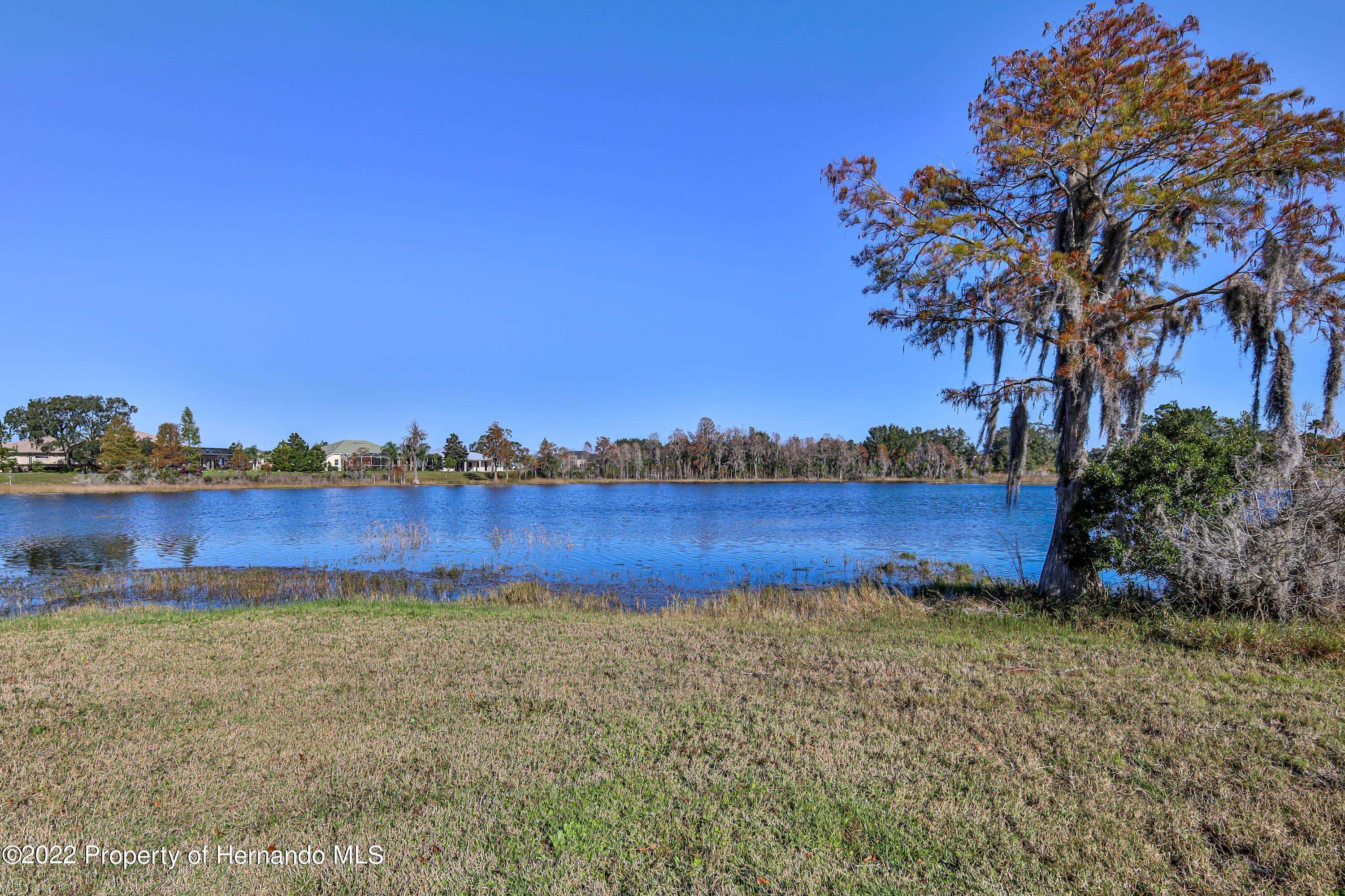 Weeki Wachee, FL 34613,9159 Trevino Drive