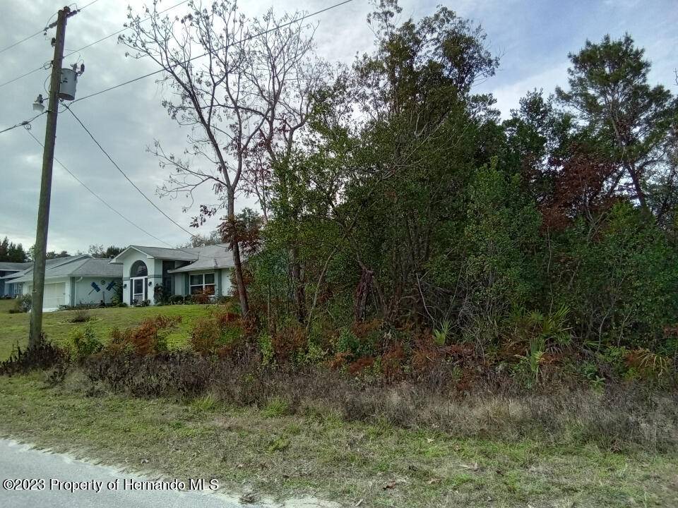 Spring Hill, FL 34613,8075 Jasbow Junction