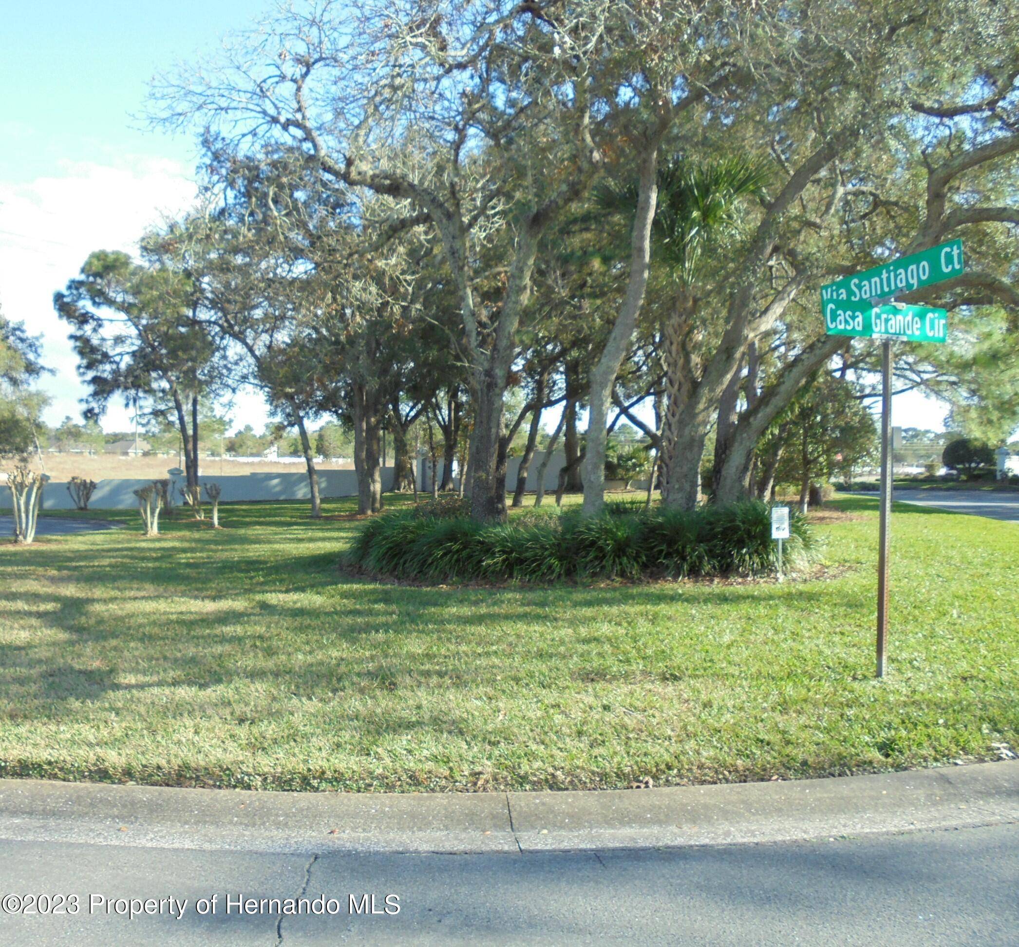 Spring Hill, FL 34608,11045 Via Santiago Court