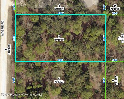 Weeki Wachee, FL 34614,5 Magpie Road