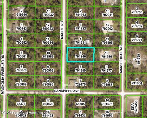 Weeki Wachee, FL 34614,5 Magpie Road