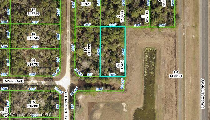 Weeki Wachee, FL 34614,14251 Ravine Avenue