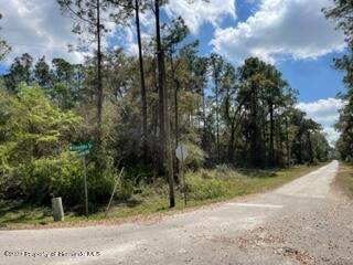 Webster, FL 33597,0 Willoughby