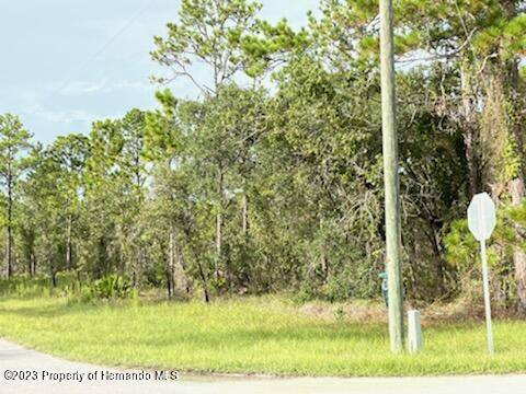 Weeki Wachee, FL 34614,Sandpiper