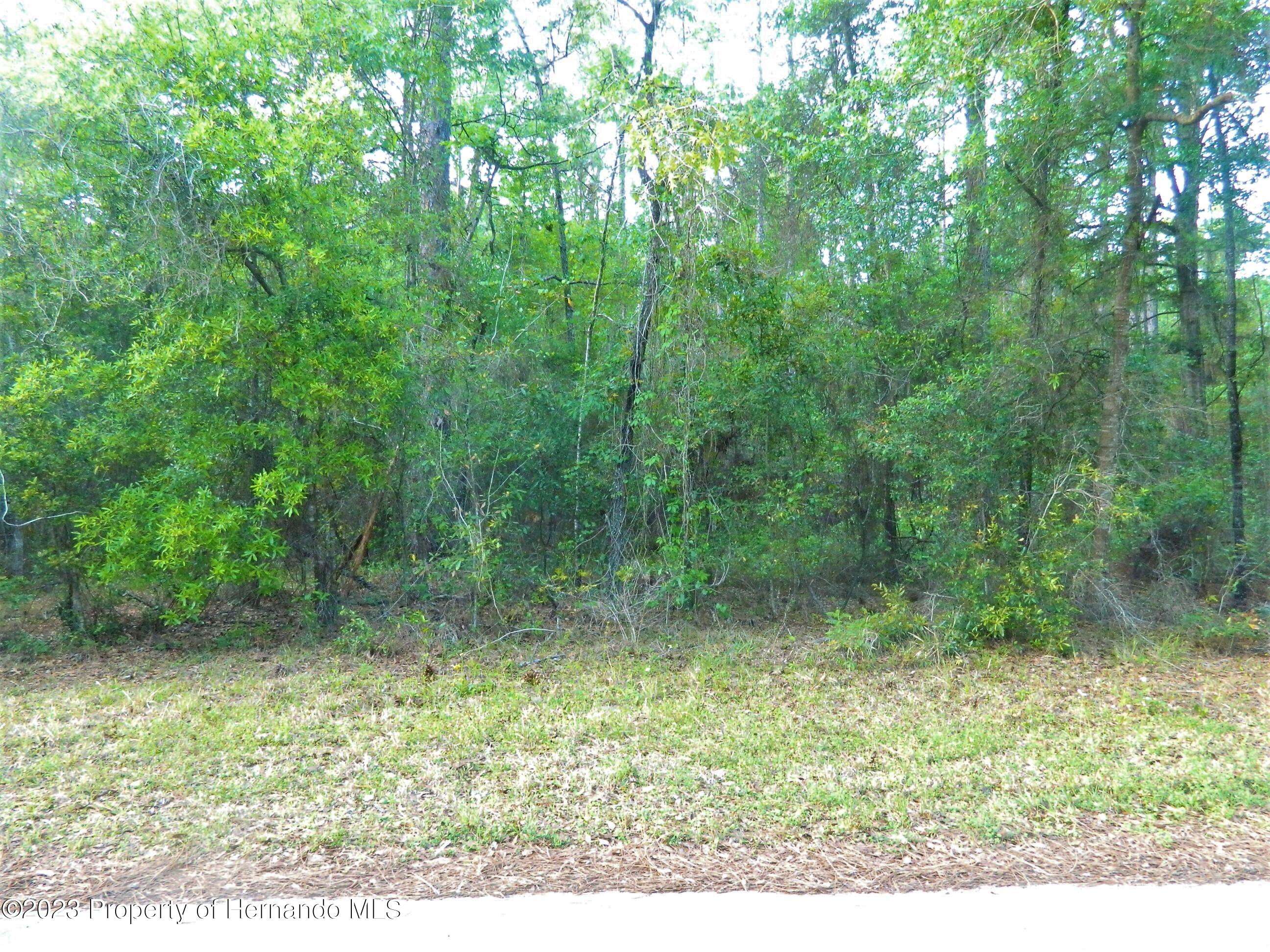 Dunnellon, FL 34433,7401 W Citruswood Drive