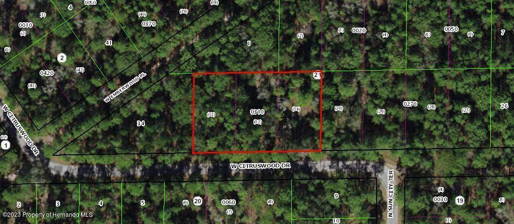 Dunnellon, FL 34433,7401 W Citruswood Drive