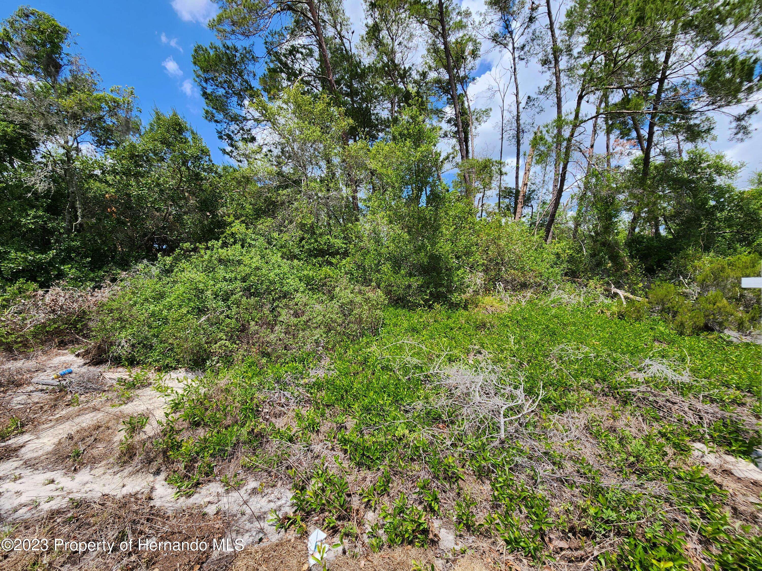 Spring Hill, FL 34608,Kirkwood Ave Lot 21