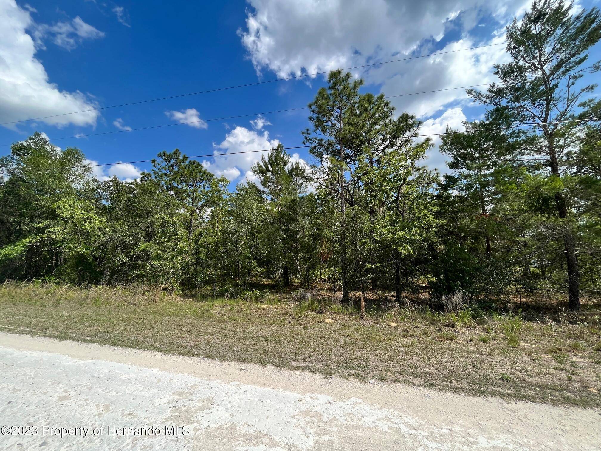 Weeki Wachee, FL 34614,13328 VELVET SCOTER Avenue