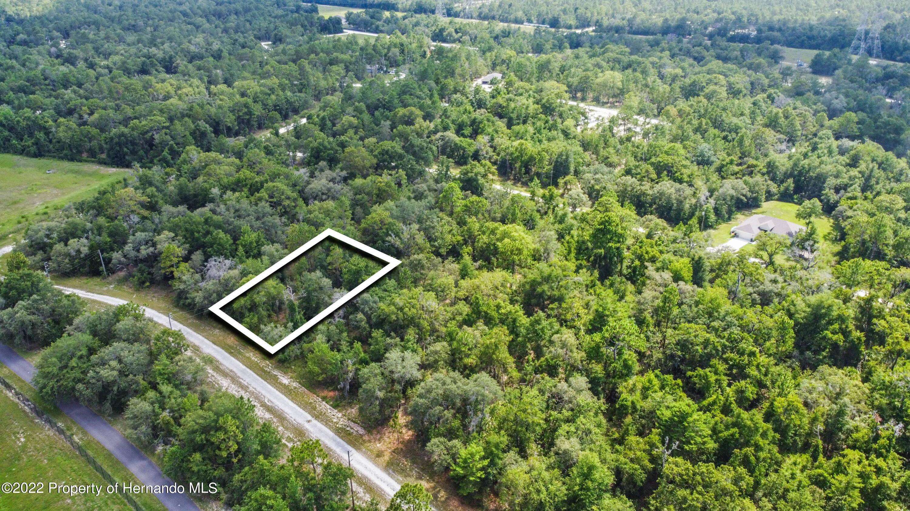 Weeki Wachee, FL 34614,0 Curlew Road