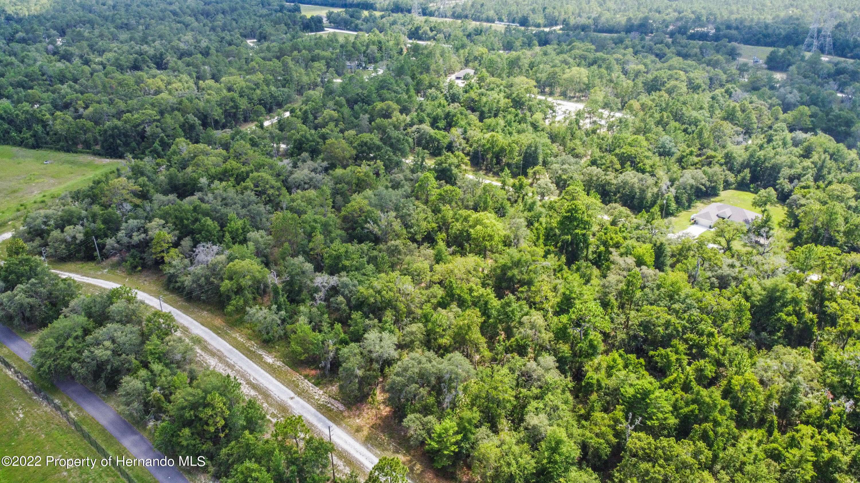 Weeki Wachee, FL 34614,0 Curlew Road