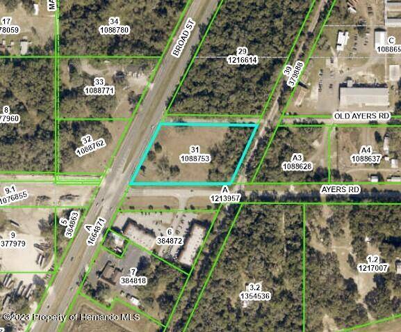 Brooksville, FL 34601,S Broad Street