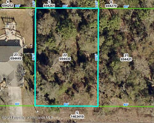 Spring Hill, FL 34608,Shafton Road