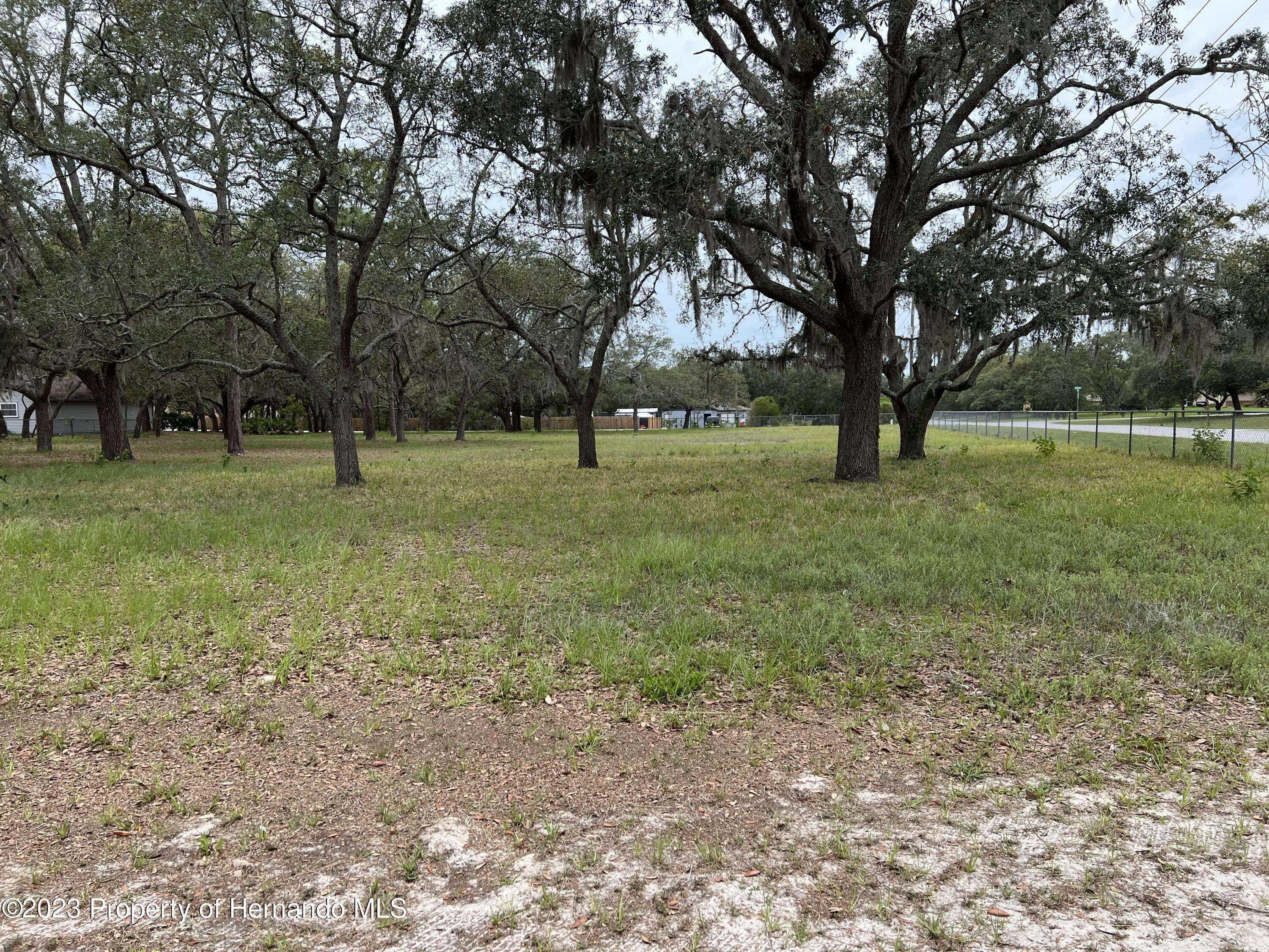 Spring Hill(pasco), FL 34610,Fringe Tree Drive