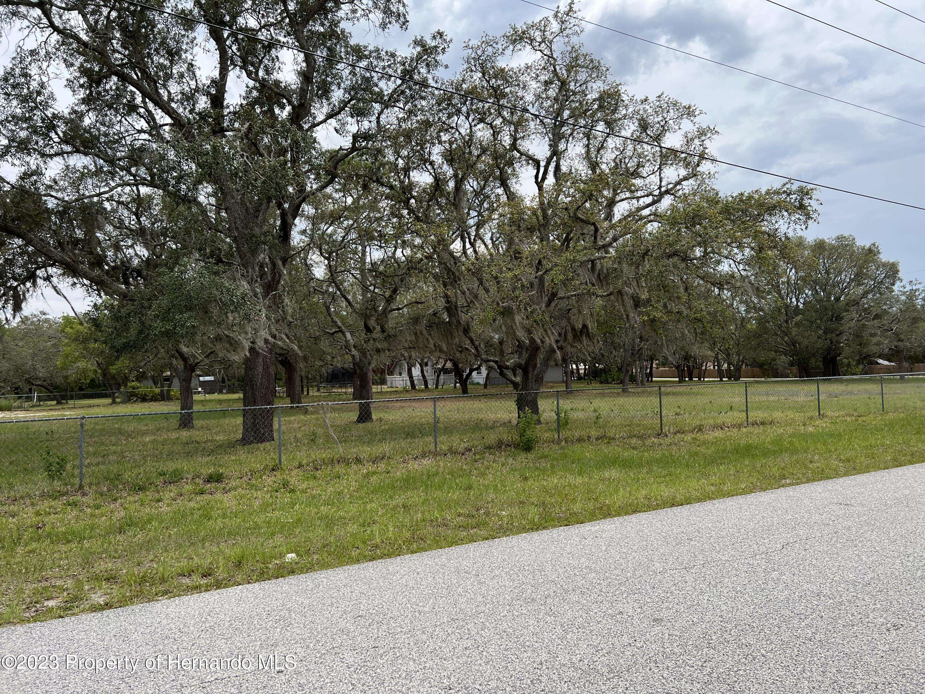 Spring Hill(pasco), FL 34610,Fringe Tree Drive