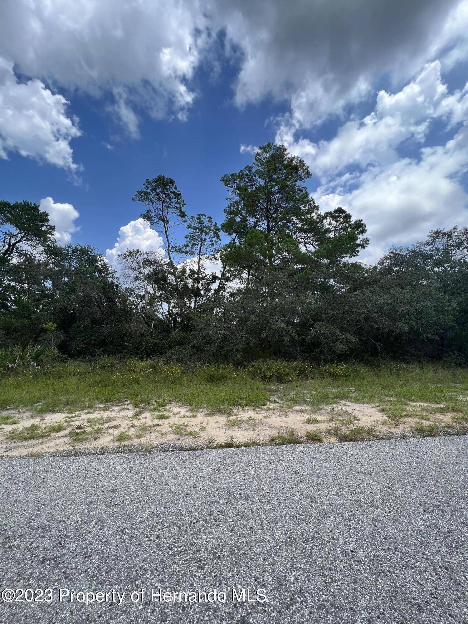 Spring Hill, FL 34608,0 Sardinia Avenue