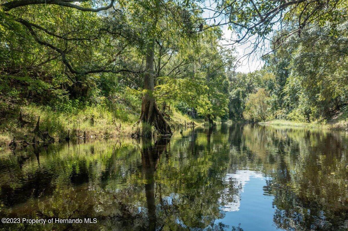 Ridge Manor, FL 33523,5239 Olivet Drive