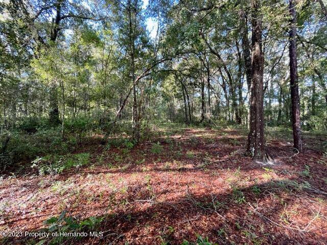 Brooksville, FL 34601,Richbarn Road