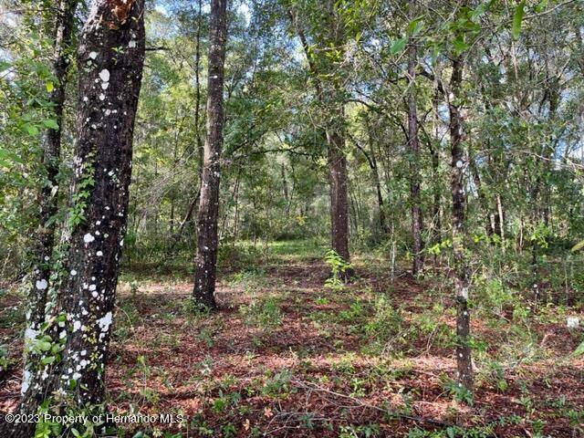 Brooksville, FL 34601,Richbarn Road