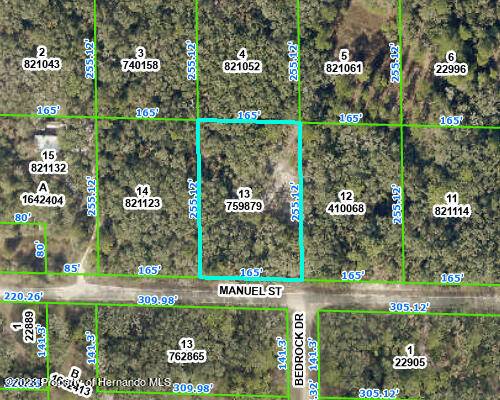 Ridge Manor, FL 33597,MANUEL Street