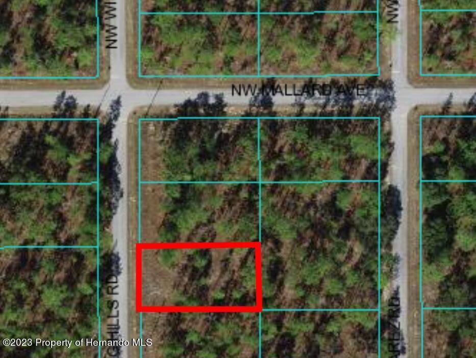 Dunnellon, FL 34431,SW Winding Hills Road