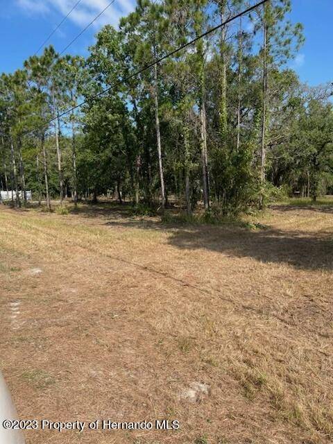 Spring Hill, FL 34608,9495 May Gold Lane