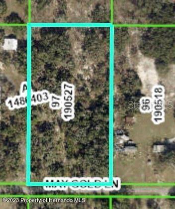 Spring Hill, FL 34608,9495 May Gold Lane