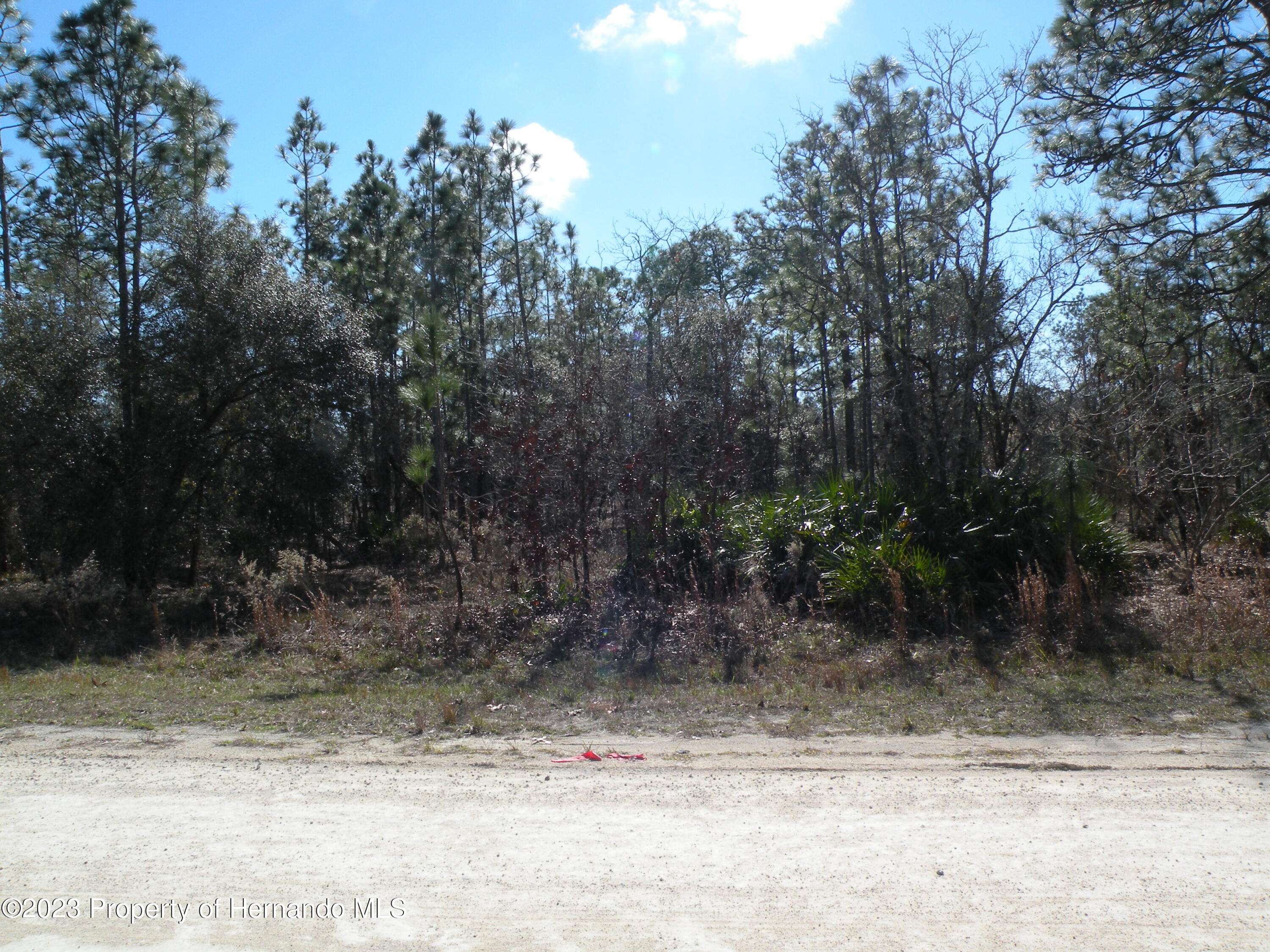 Brooksville, FL 34614,15266 Scaup Duck Avenue