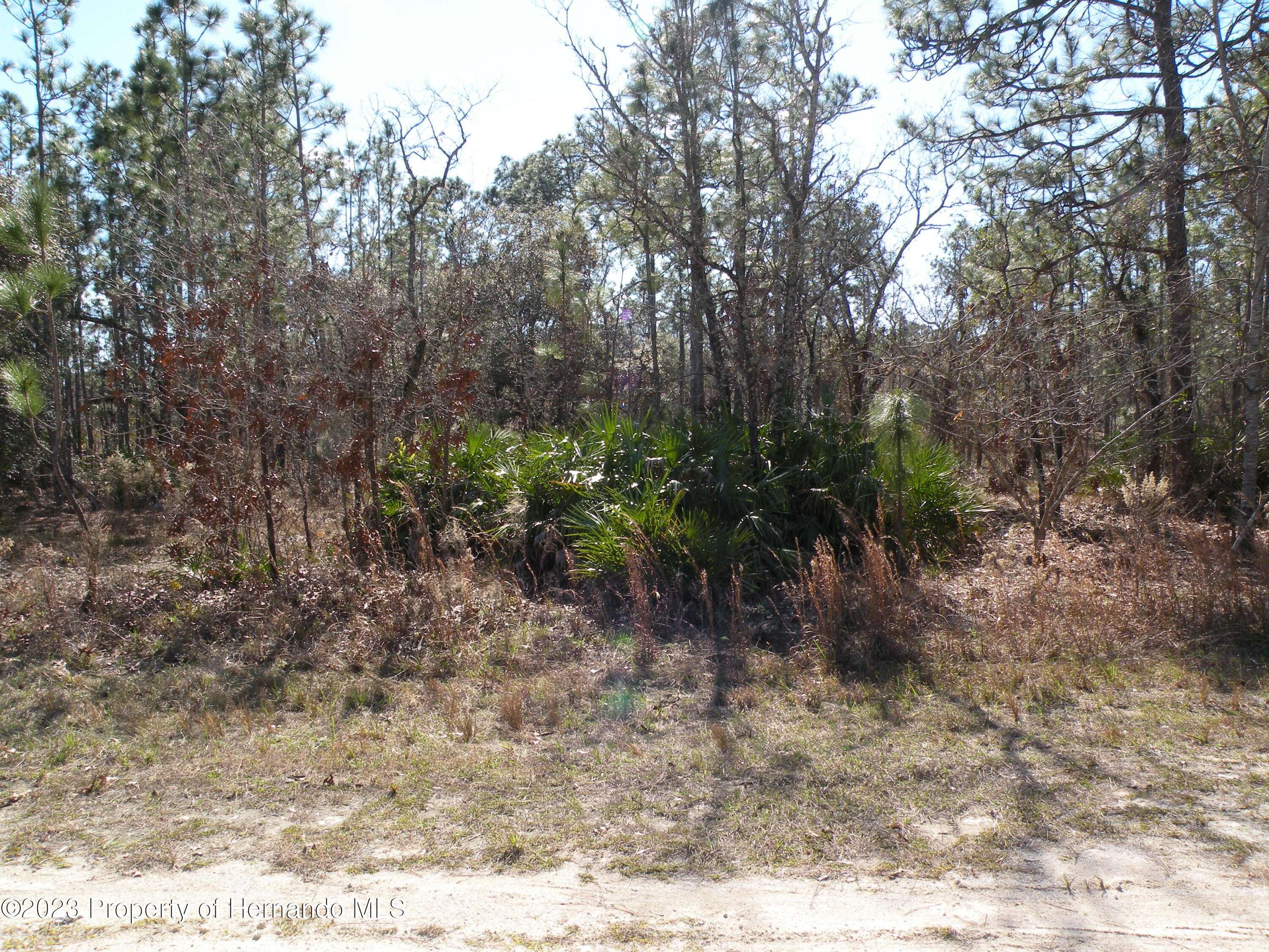 Brooksville, FL 34614,15266 Scaup Duck Avenue