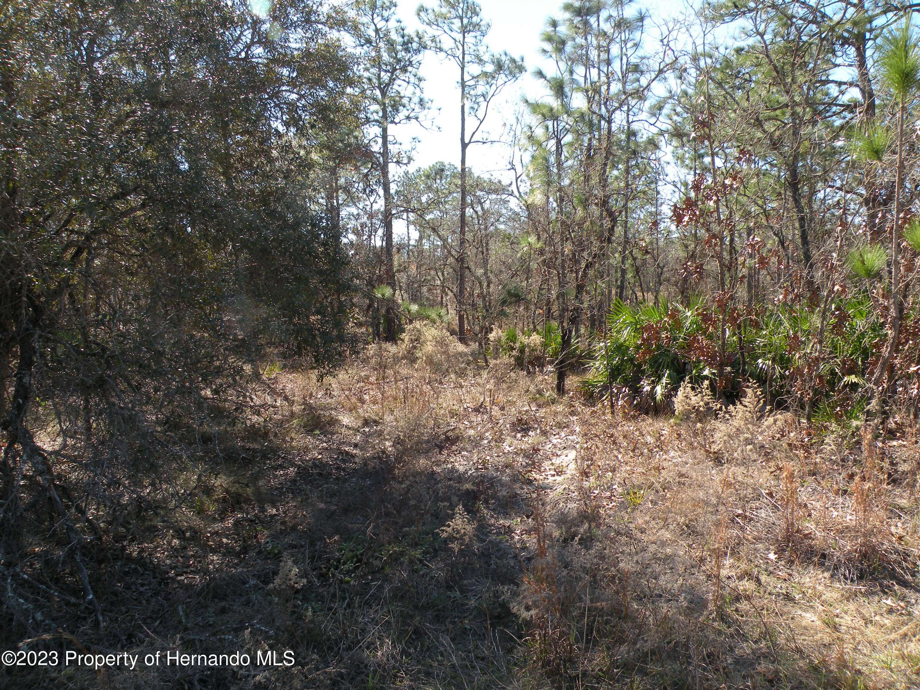 Brooksville, FL 34614,15266 Scaup Duck Avenue