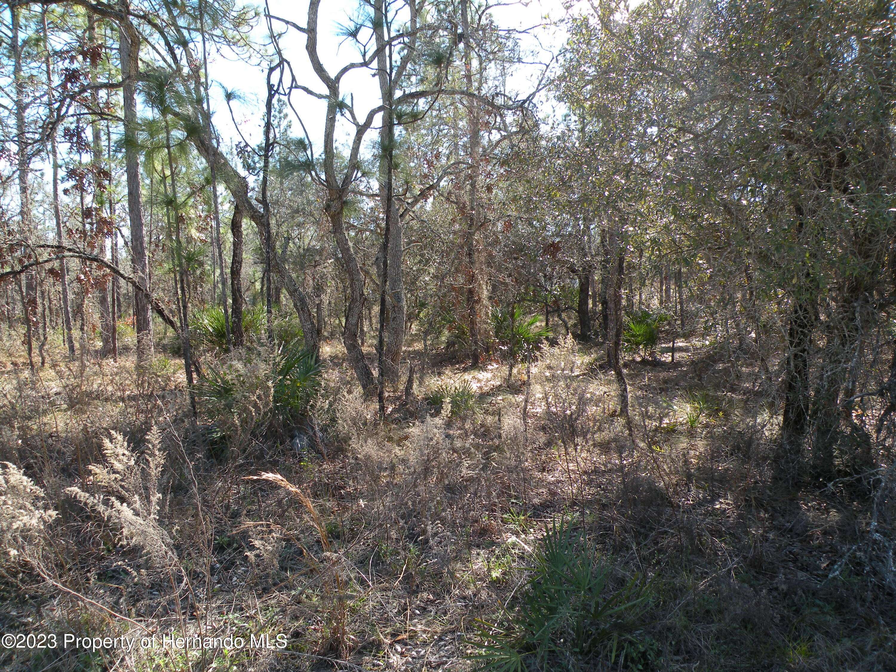 Brooksville, FL 34614,15266 Scaup Duck Avenue