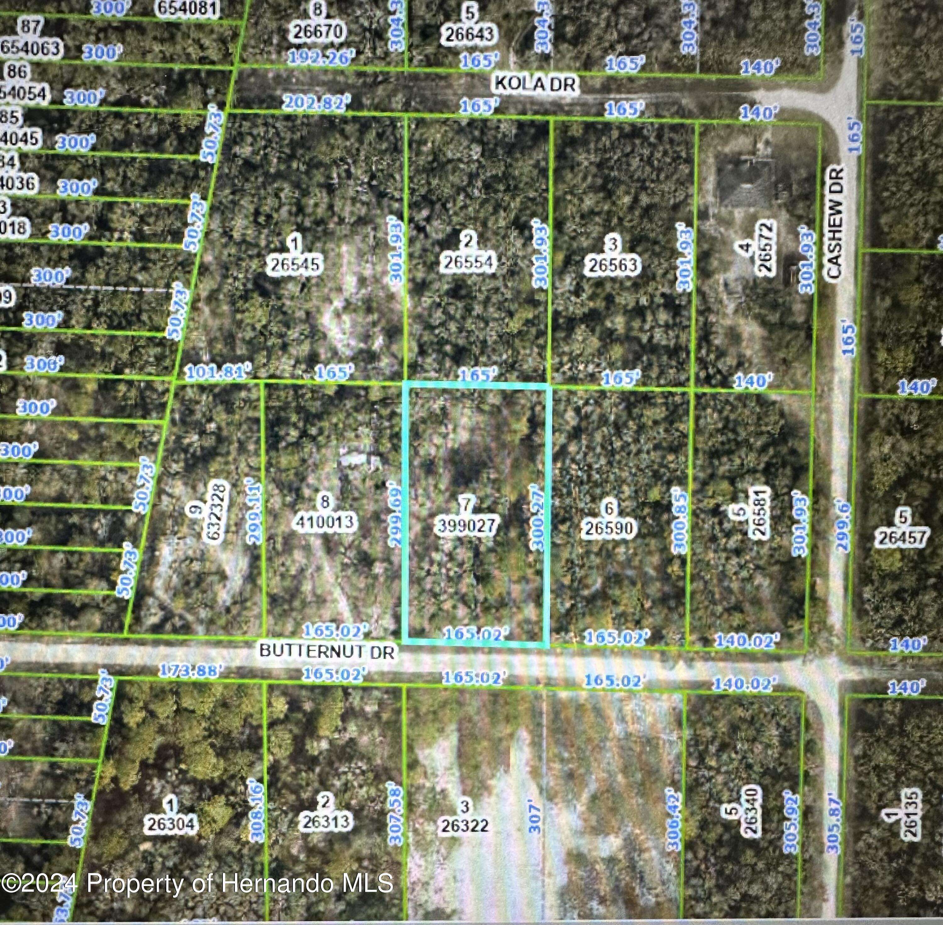 Webster, FL 33597,7 Butternut Drive