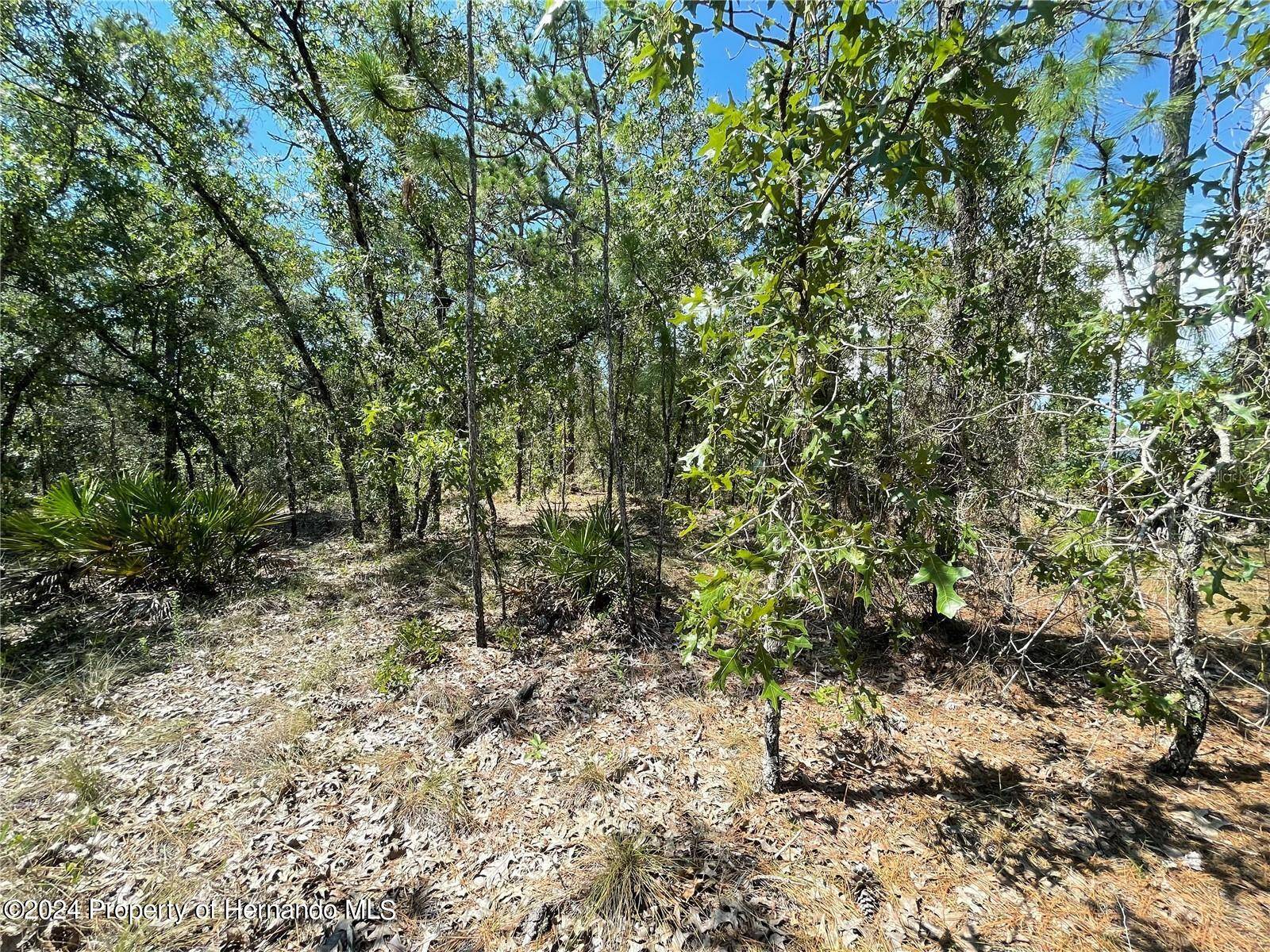 Weeki Wachee, FL 34614,16179 MEADOW PLOVER Road