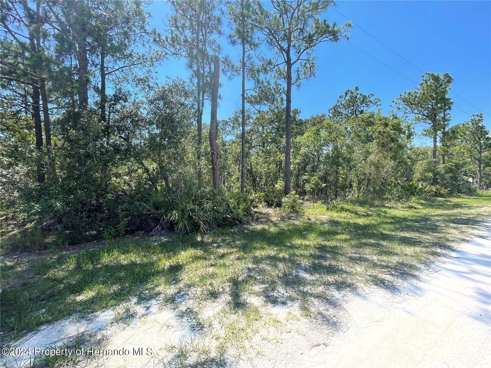 Weeki Wachee, FL 34614,16179 MEADOW PLOVER Road