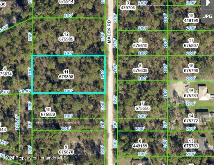 Weeki Wachee, FL 34614,18185 MACEK Road