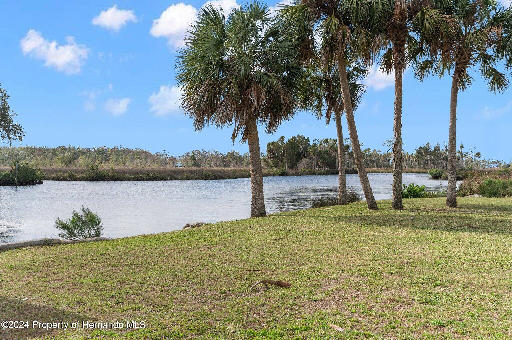 Weeki Wachee, FL 34607,8064 Marys Fish Camp Road