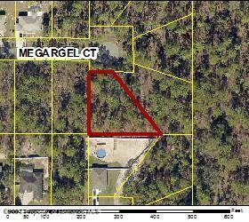 Weeki Wachee, FL 34614,11336 Megargel Court