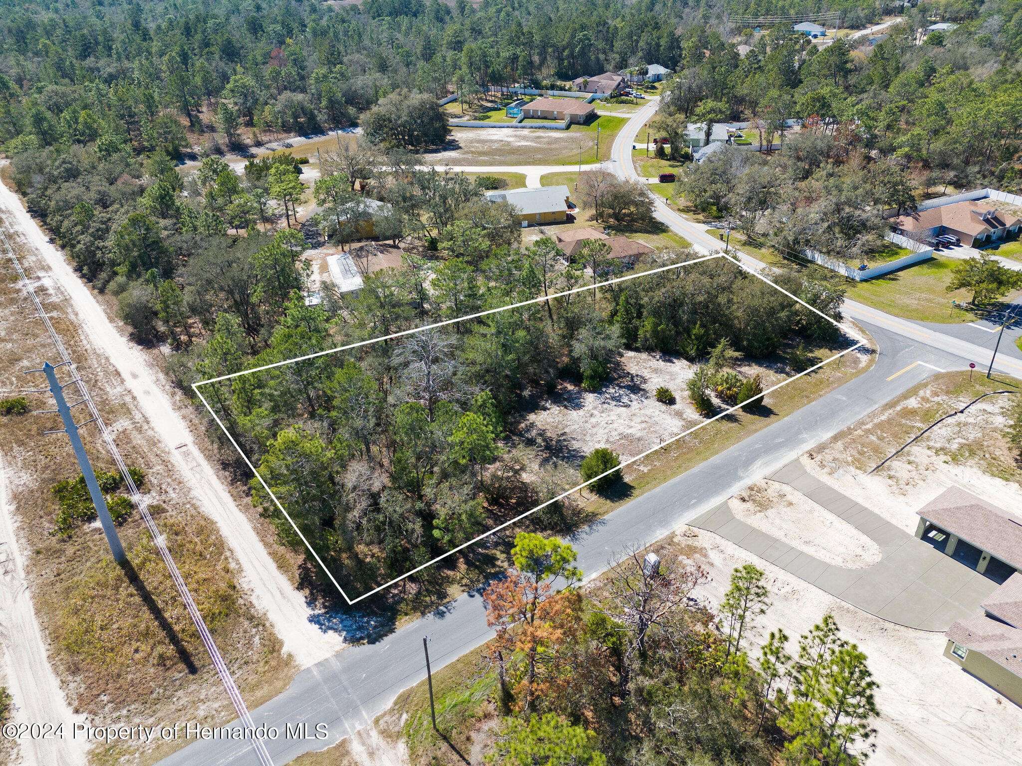 Weeki Wachee, FL 34613,11036 CANARY Avenue