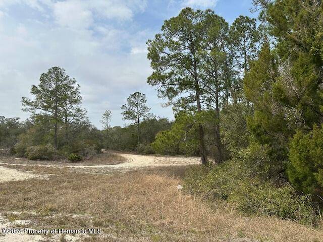 Webster, FL 33597,HARDSTONE Drive