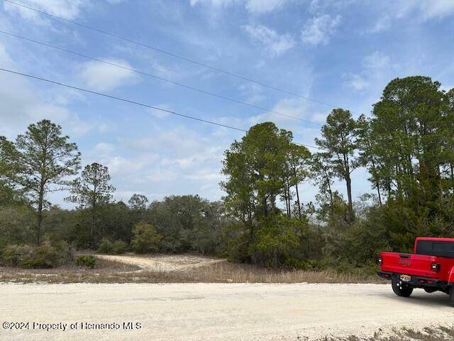 Webster, FL 33597,HARDSTONE Drive