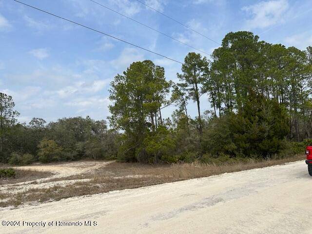 Webster, FL 33597,HARDSTONE Drive