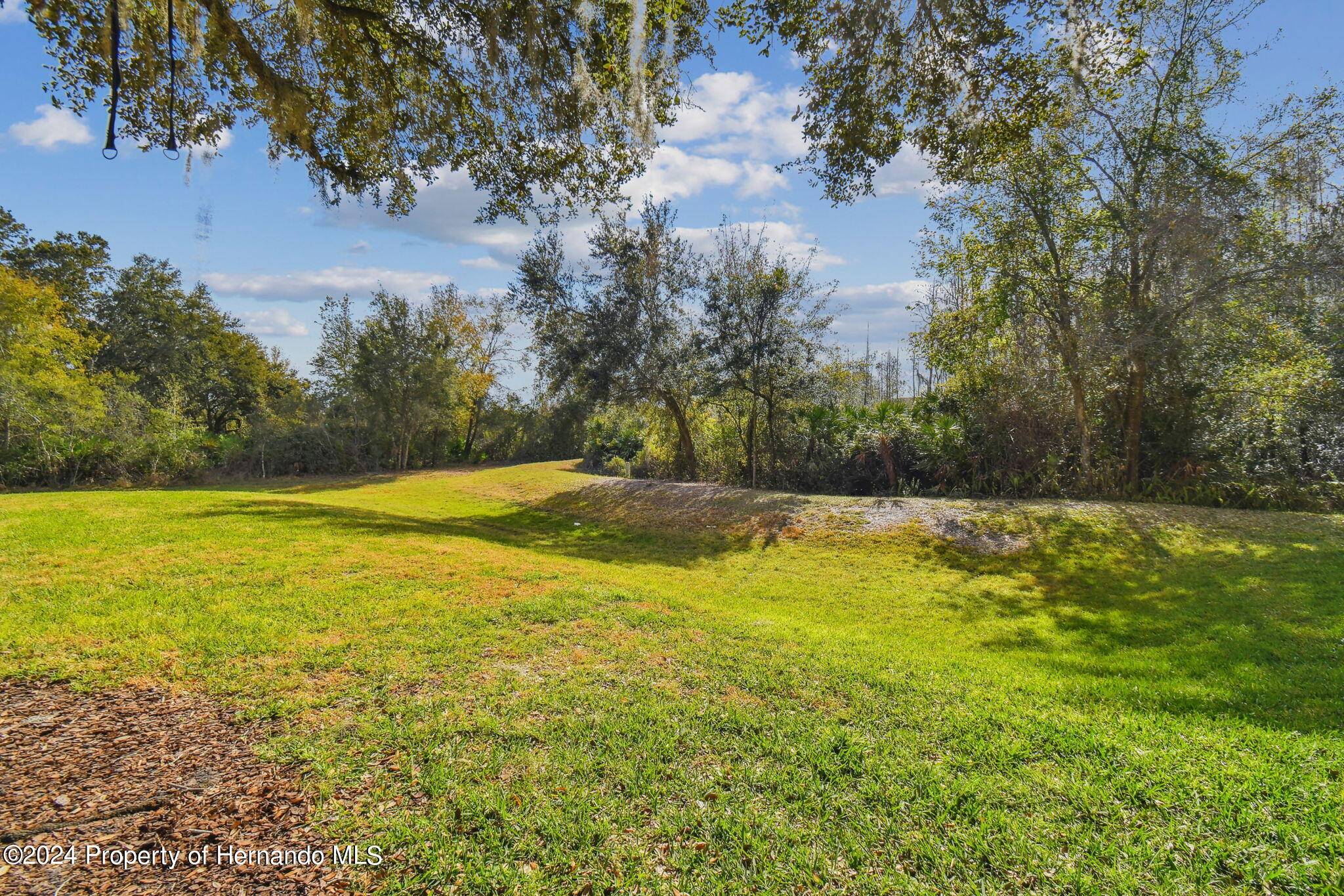 Wesley Chapel, FL 33543,1046 Kennewick Court