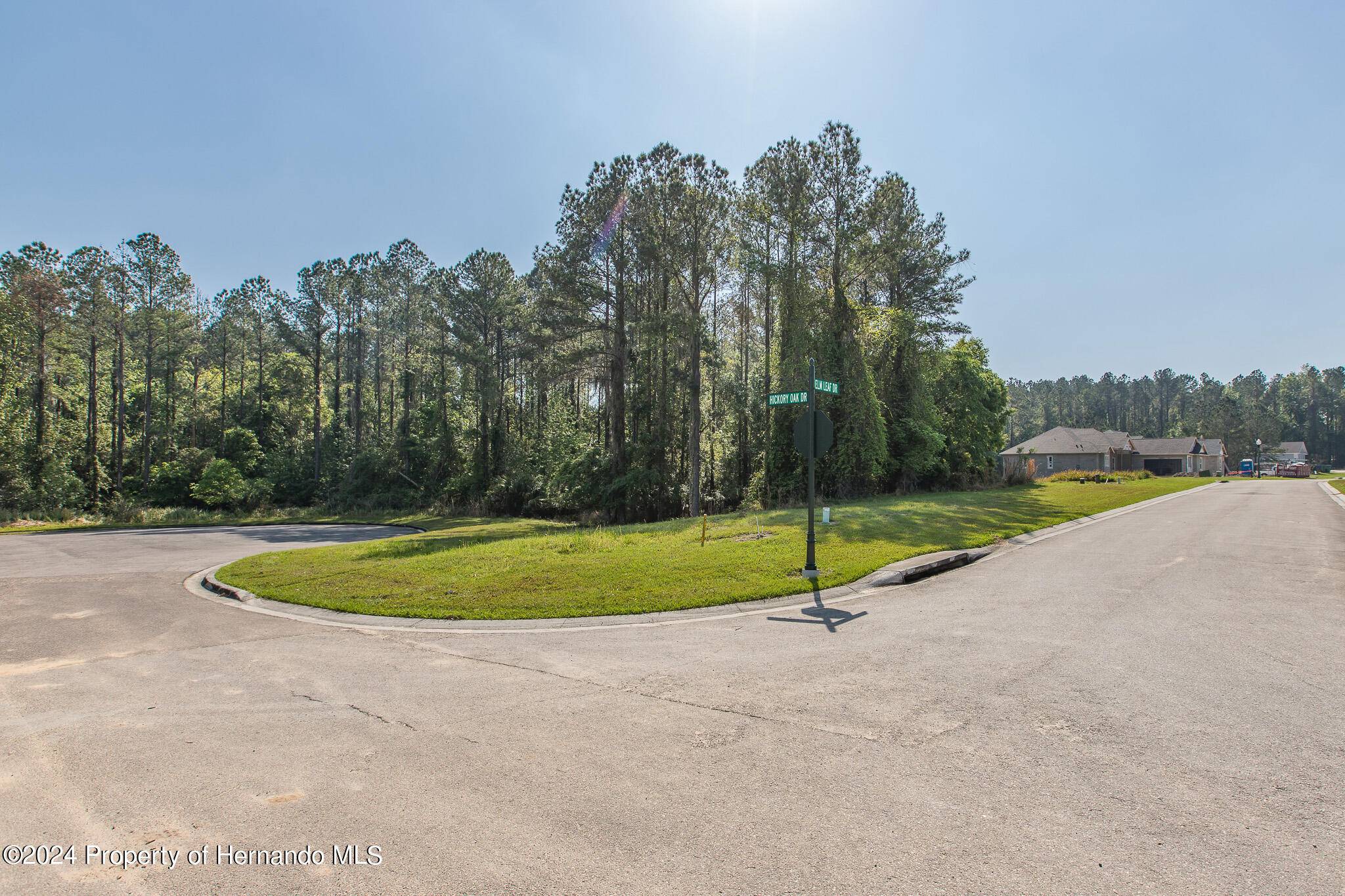 Brooksville, FL 34601,0 Elm Leaf Drive