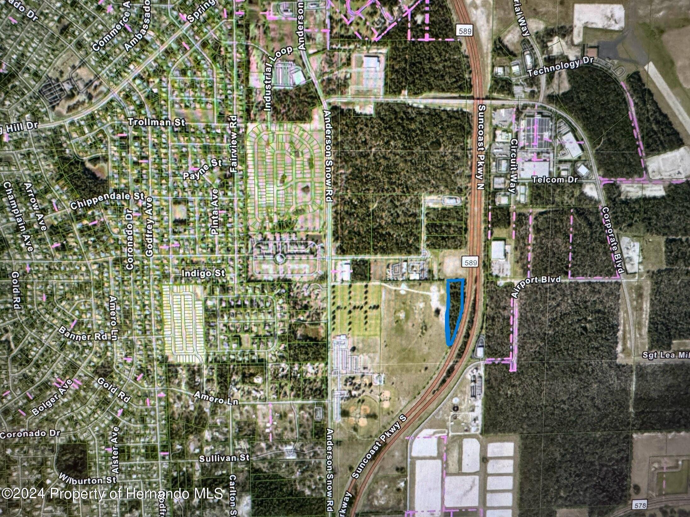 Spring Hill, FL 34609,Anderson Snow Road