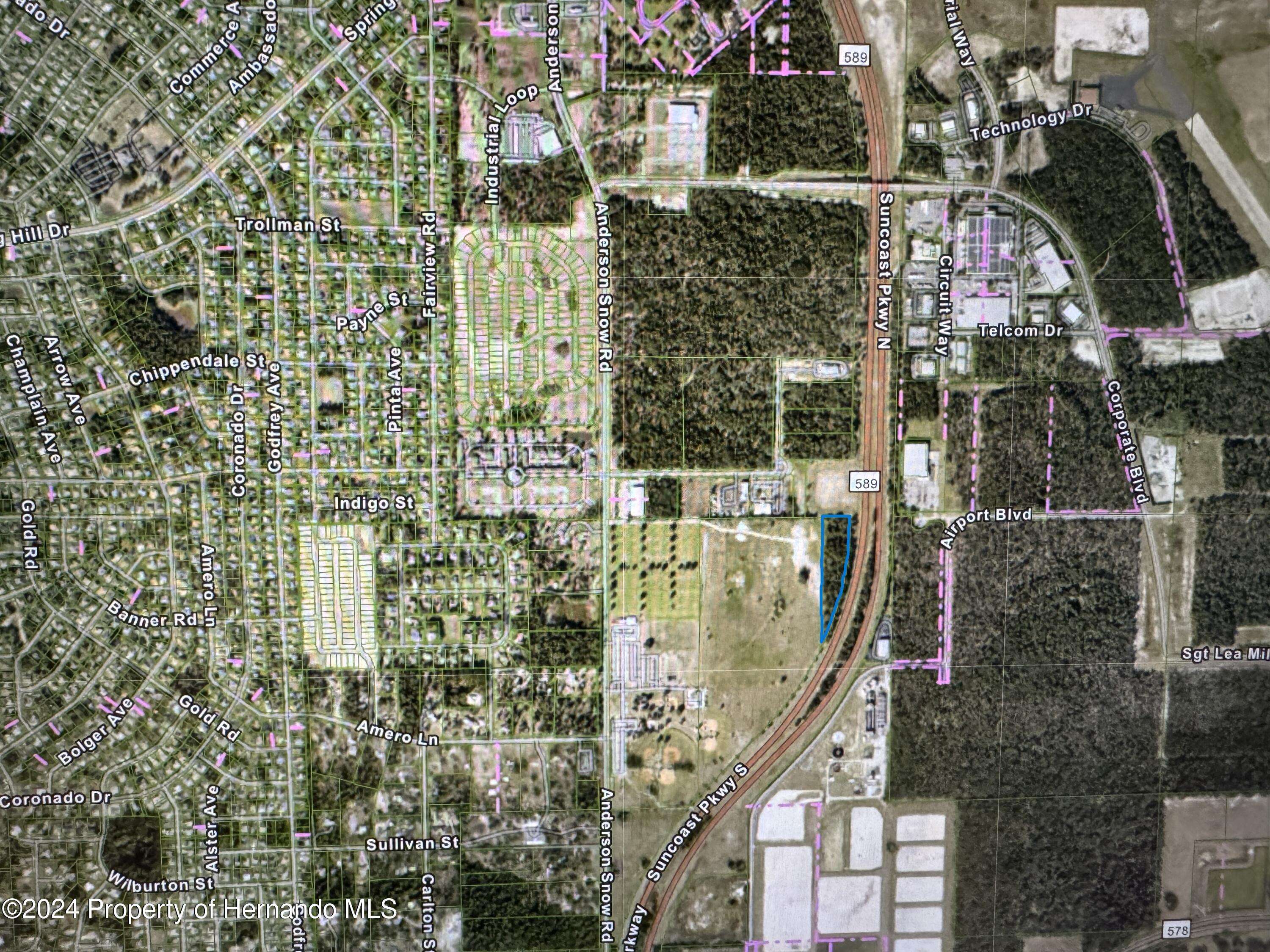 Spring Hill, FL 34609,Anderson Snow Road
