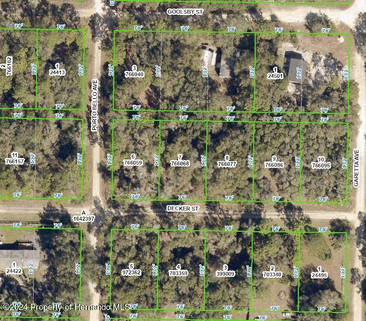 Webster, FL 33597,Decker Street