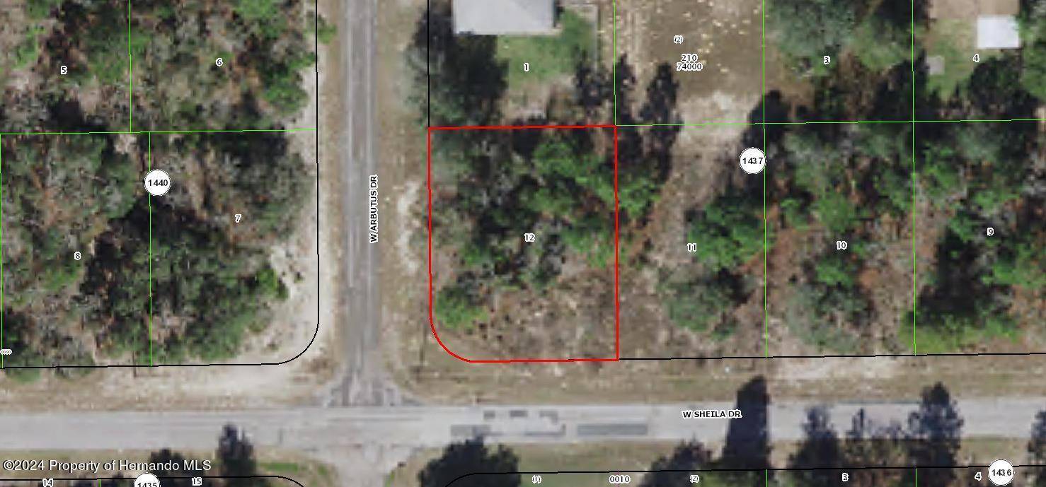 Citrus Springs, FL 34434,5 Portfolio Drive